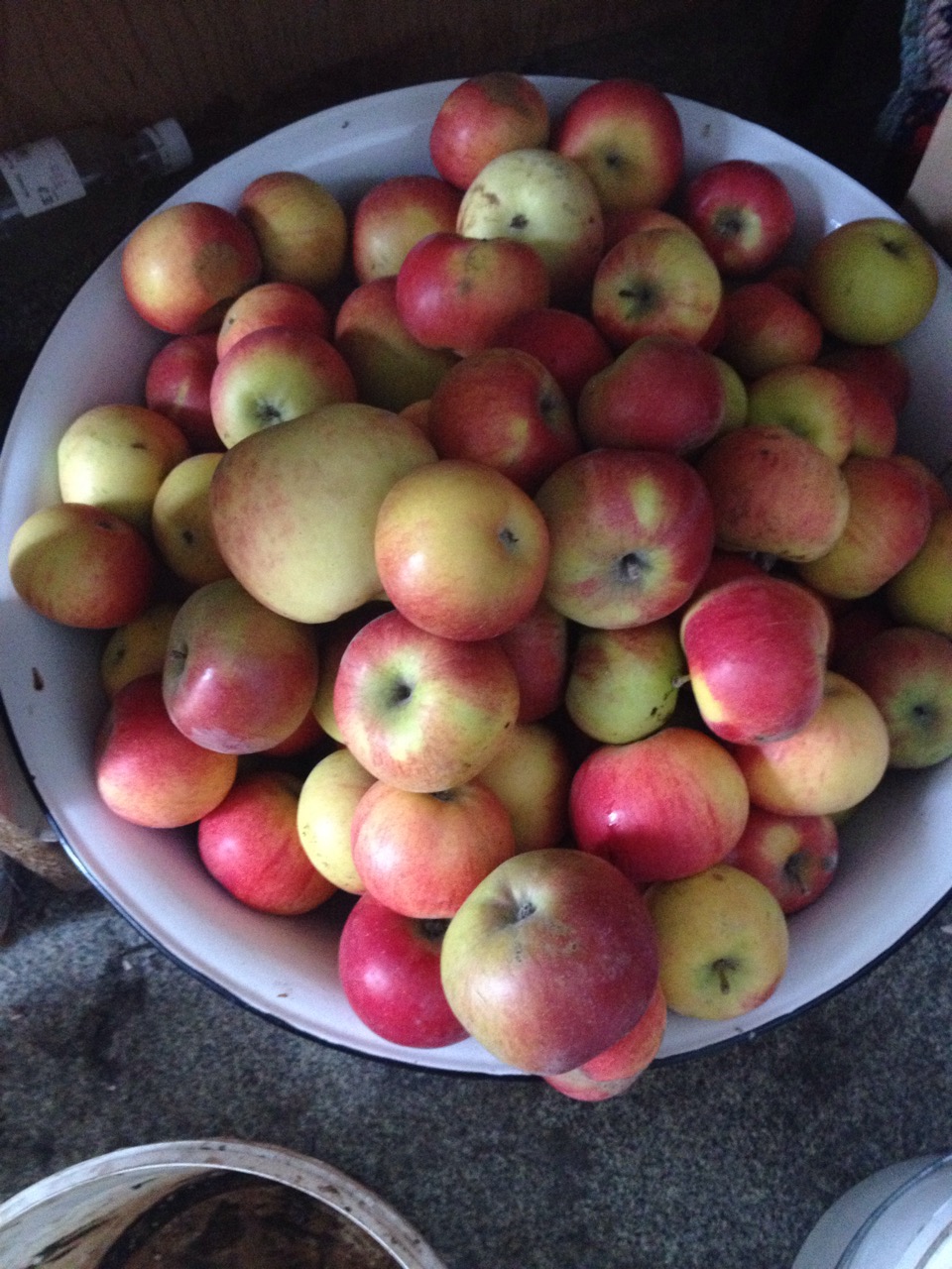 Apples from cellar